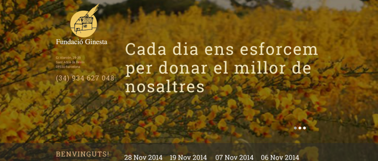 Fundació Ginesta (web)